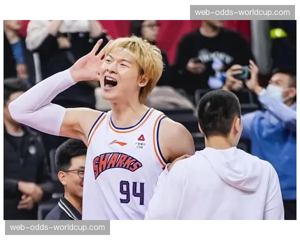 王哲林专访：谈领袖责任、伤病恢复与对巴黎奥运会的期待